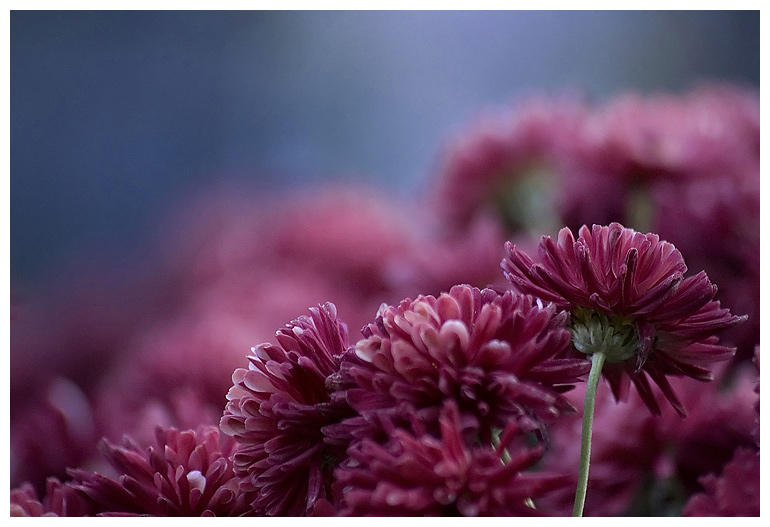 фото "***" метки: , 