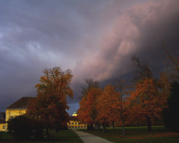 photo "***" tags: nature, landscape, 