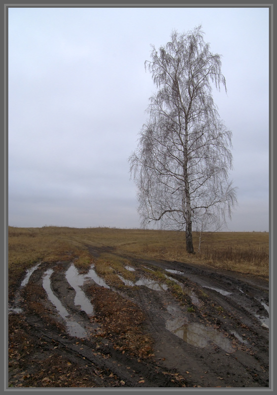 photo "Autumn melancholy" tags: landscape, autumn