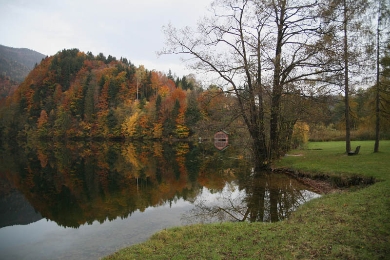 фото "Autumn" метки: пейзаж, вода, лес