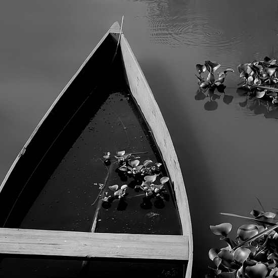 photo "Boat detail" tags: black&white, landscape, water