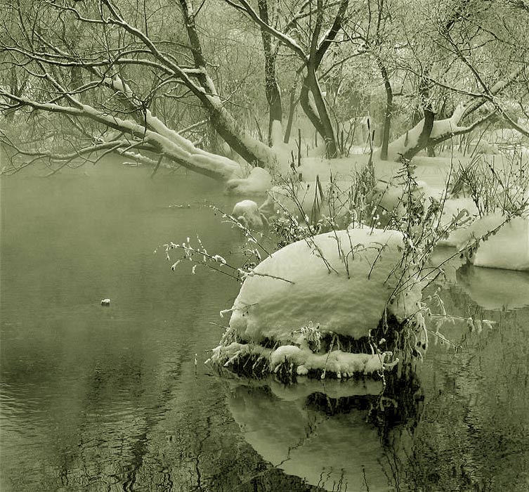 фото "Первый снег" метки: пейзаж, зима