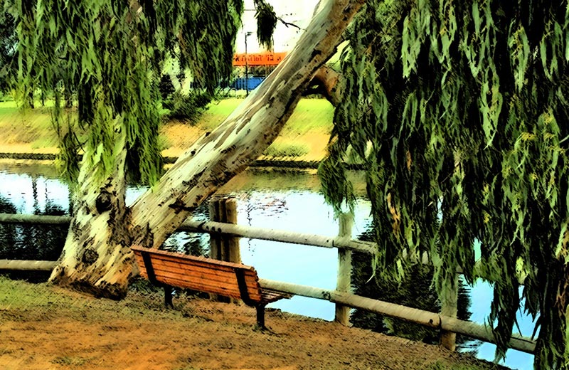 photo "Romantic bench..." tags: landscape, 