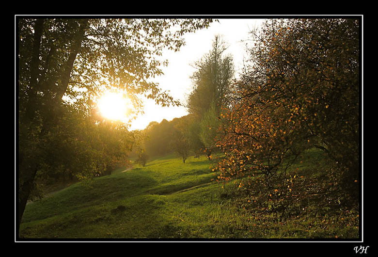 фото "Луч солнца золотого" метки: пейзаж, природа, лес
