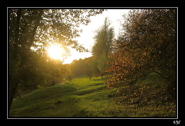 photo "Ray of golden sky" tags: landscape, nature, forest