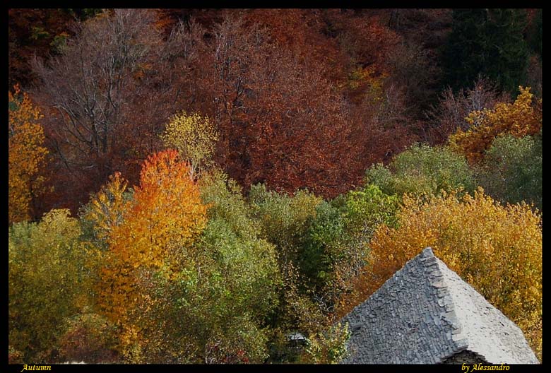 photo "autunno" tags: landscape, mountains