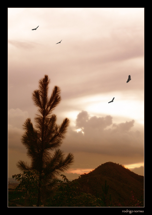 photo "flying home.." tags: landscape, nature, mountains