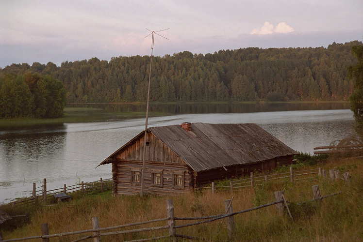 photo "***" tags: landscape, forest