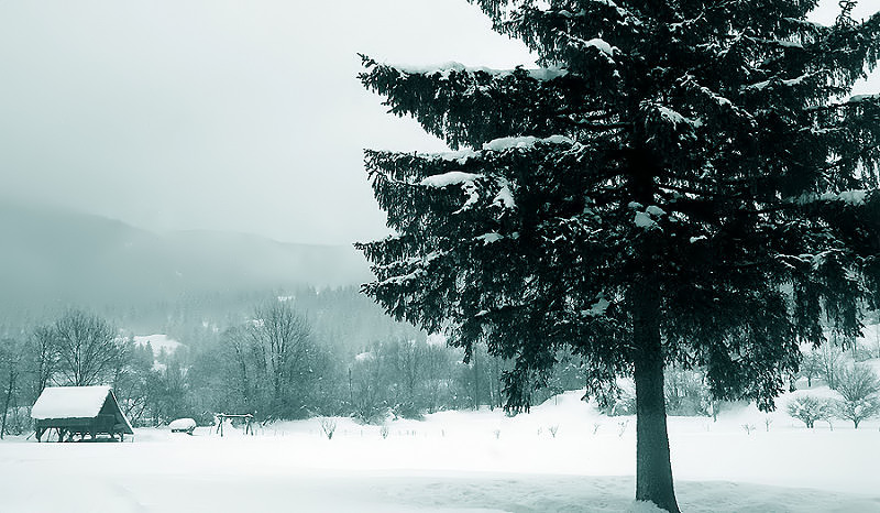 фото "Winter" метки: пейзаж, зима