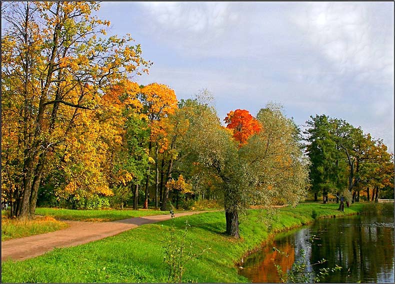 photo "Autumn fairy tales in city Pushkin-2.  A torch." tags: landscape, autumn, forest