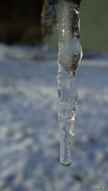 photo "First icicle" tags: macro and close-up, 