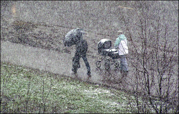 фото "Снежность." метки: жанр, 