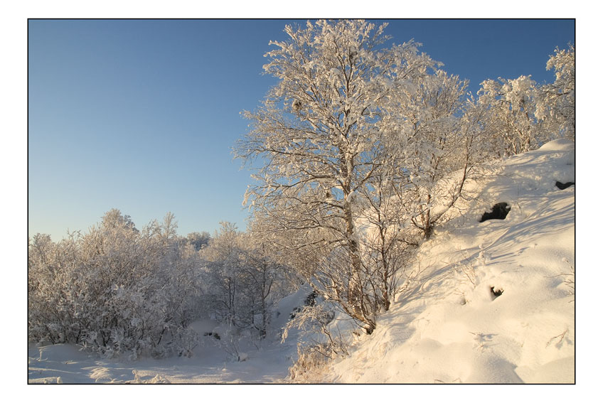 фото "Зима пришла" метки: пейзаж, 