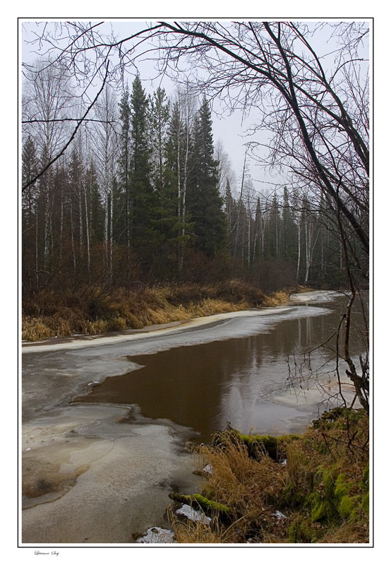 фото "Gloomy autumn..." метки: пейзаж, осень