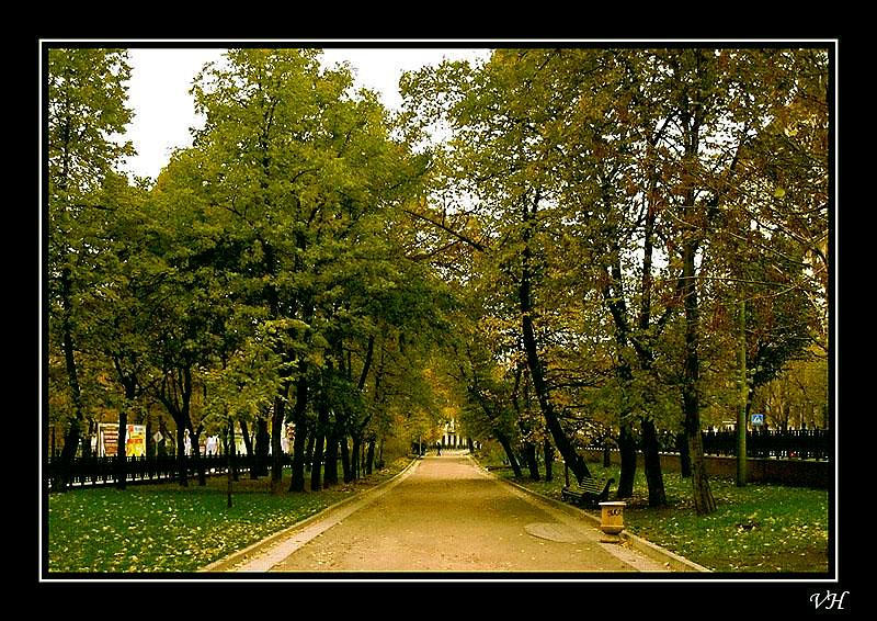 фото "Осенняя  прогулка" метки: пейзаж, осень