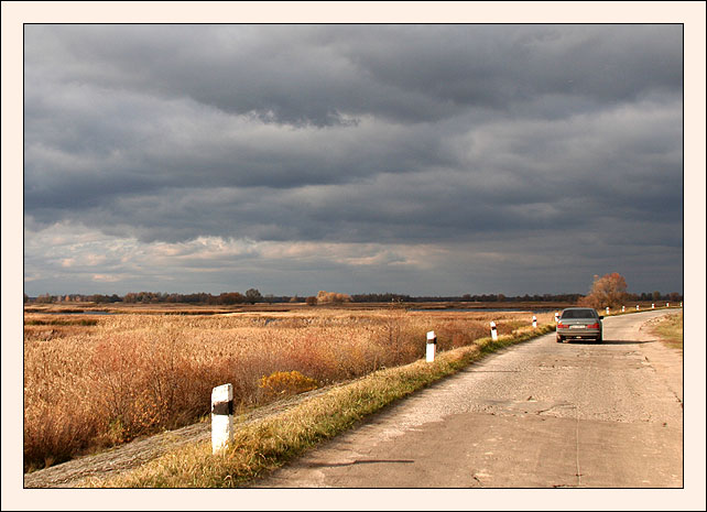 фото "Осенняя дорога" метки: пейзаж, осень