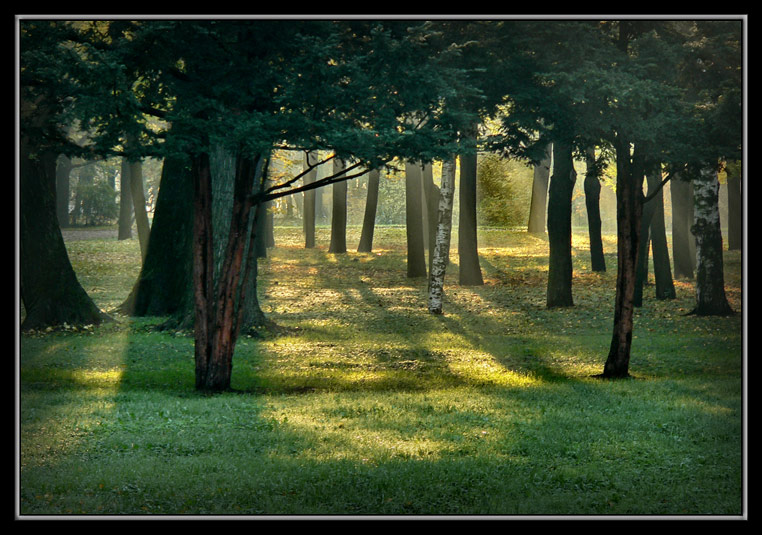 фото "В парке #2" метки: пейзаж, лес