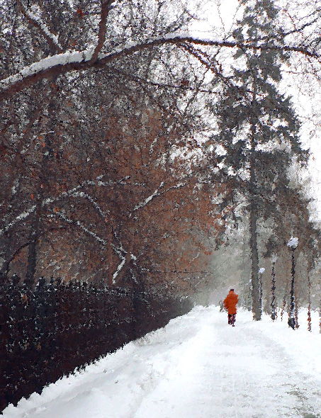 photo "Snowfall" tags: landscape, winter