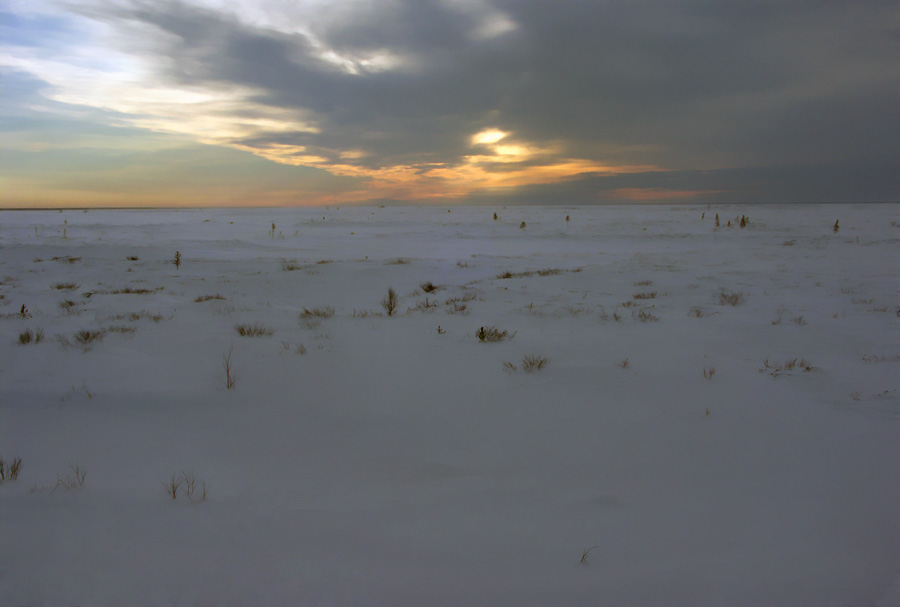 photo "white silence" tags: landscape, sunset, winter