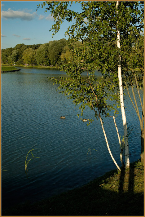 photo "***" tags: landscape, summer, water