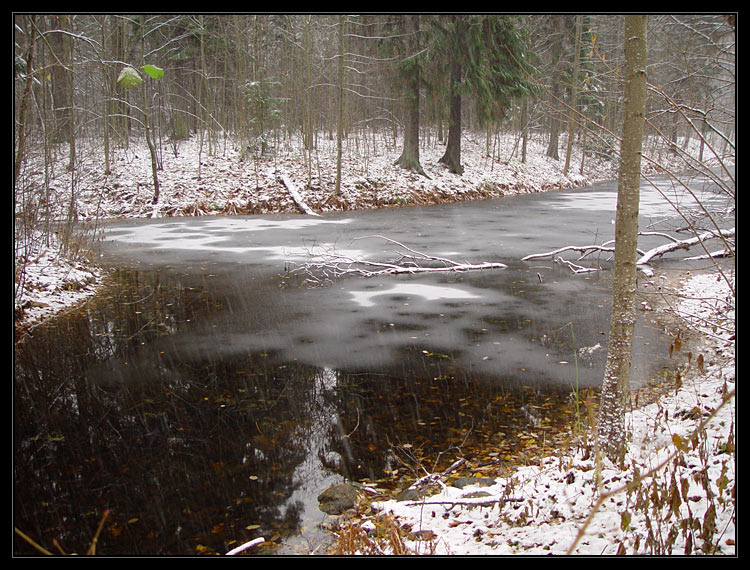 photo "The first snow" tags: landscape, water, winter