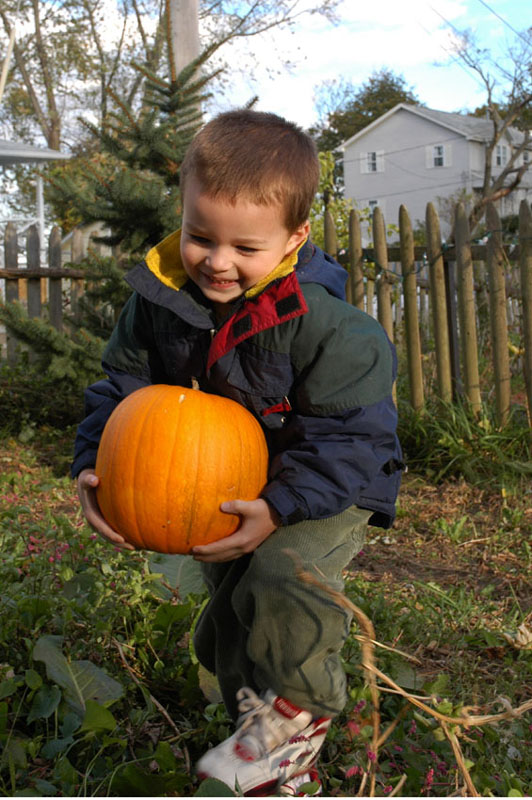 photo "punkin' pikin'" tags: portrait, nature, children, flowers