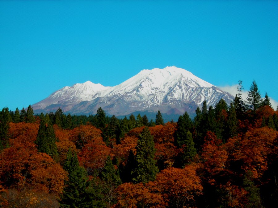 photo "Shasta in November" tags: landscape, mountains