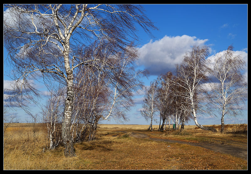 photo "Noonday fresh wind" tags: landscape, autumn