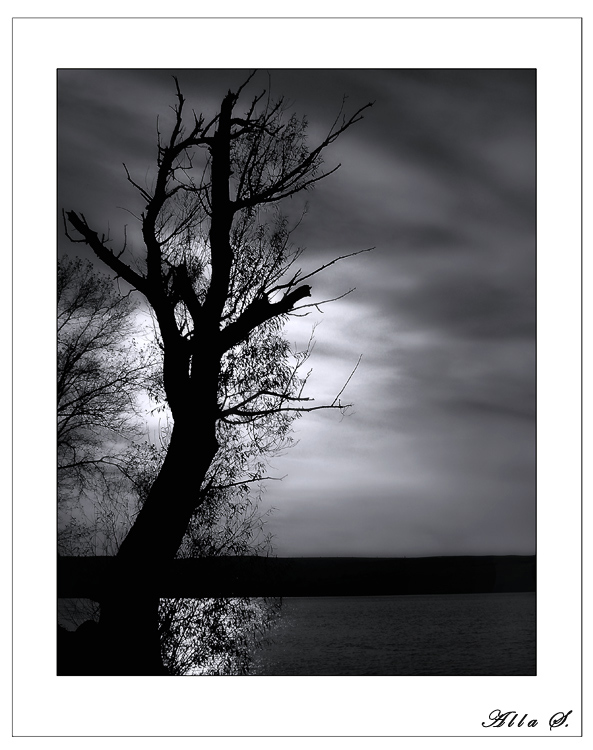 photo "***" tags: landscape, black&white, sunset