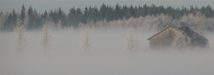 фото "Frosty mist... On the countryside" метки: пейзаж, архитектура, зима