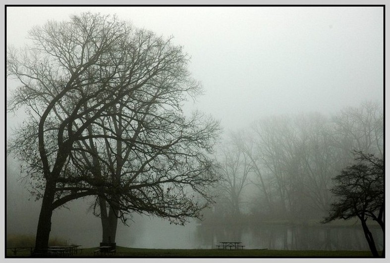 photo "Foggy Morning" tags: landscape, autumn