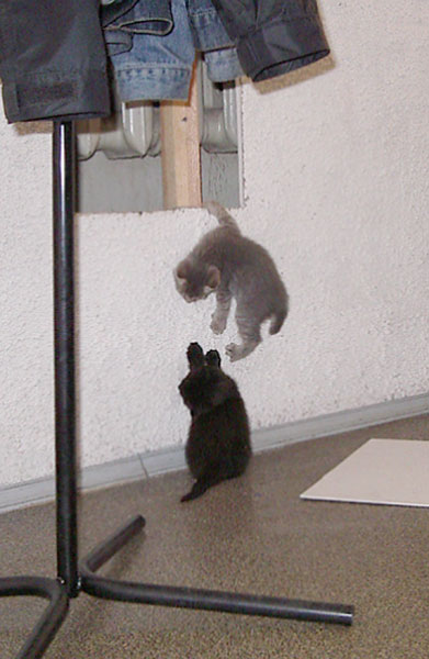 photo "***" tags: humor, 