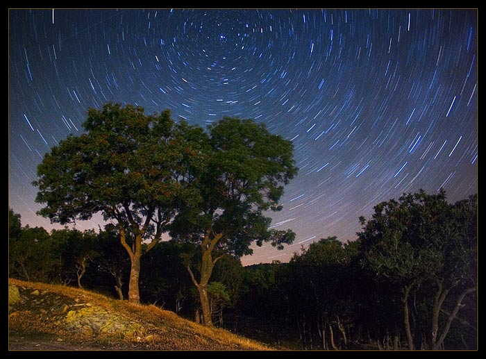 photo "The vault of heaven" tags: landscape, night