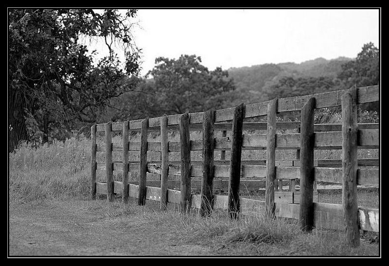 фото "Walkin the Fence" метки: черно-белые, пейзаж, лето