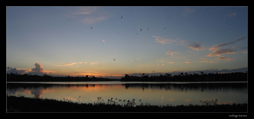 photo "free as a bird.." tags: landscape, water