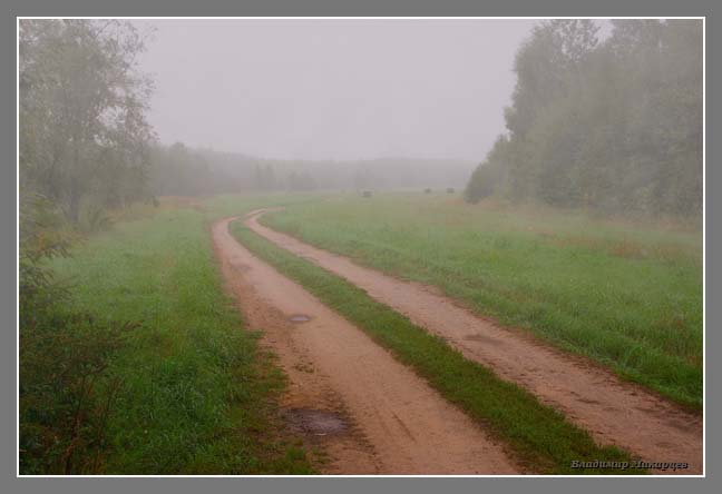 фото "Пасмурно" метки: пейзаж, лес