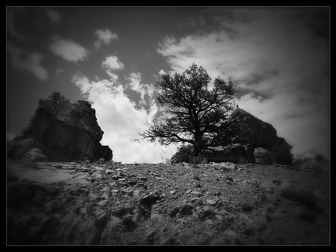 photo "Red Canyon, Utah #1" tags: landscape, travel, North America