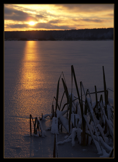 photo "November etude near the frozen lake" tags: landscape, sunset, winter