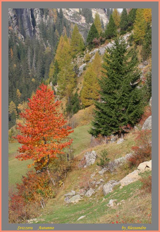 фото "paesaggio svizzero" метки: пейзаж, горы