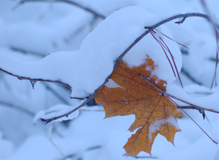 photo "***" tags: , 