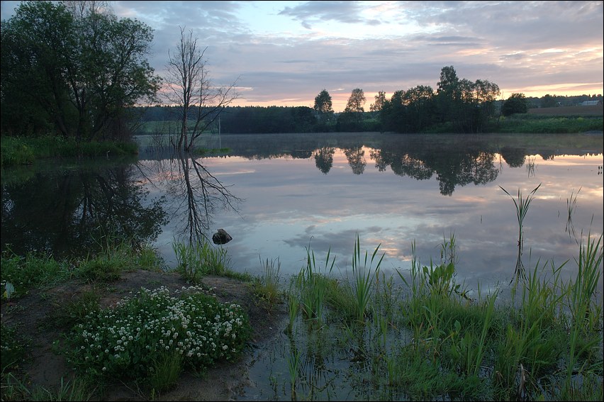 photo "Pond at road" tags: landscape, summer, water