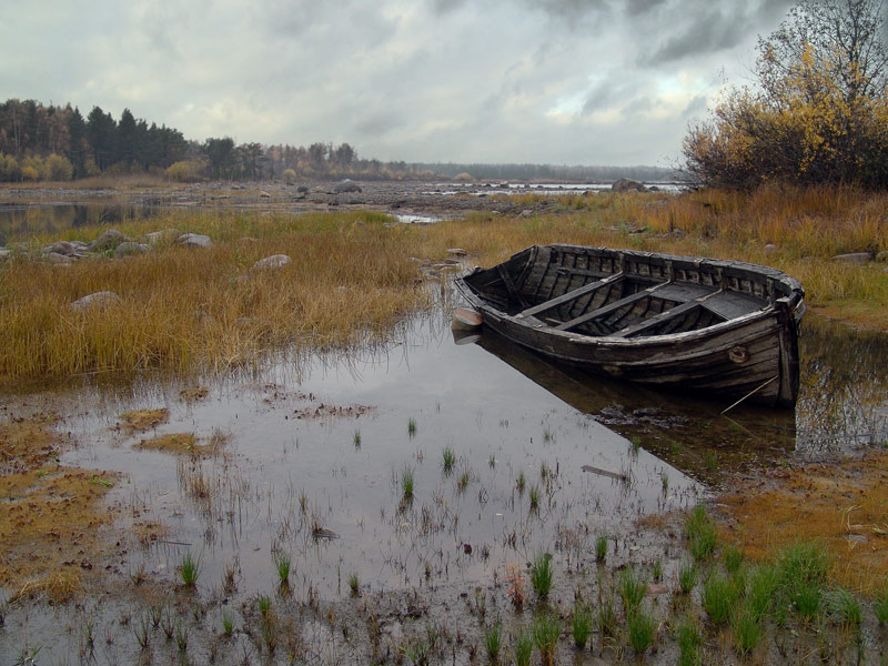 photo "Autumn sketches (3)" tags: landscape, nature, autumn