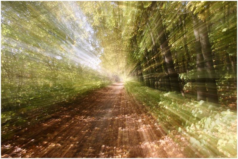 photo "bOoMmmM" tags: landscape, autumn, forest