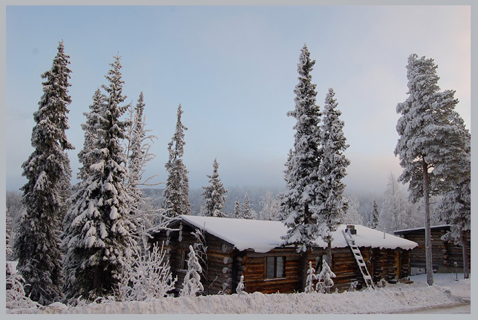 photo "Winter in Lapland" tags: landscape, forest, winter