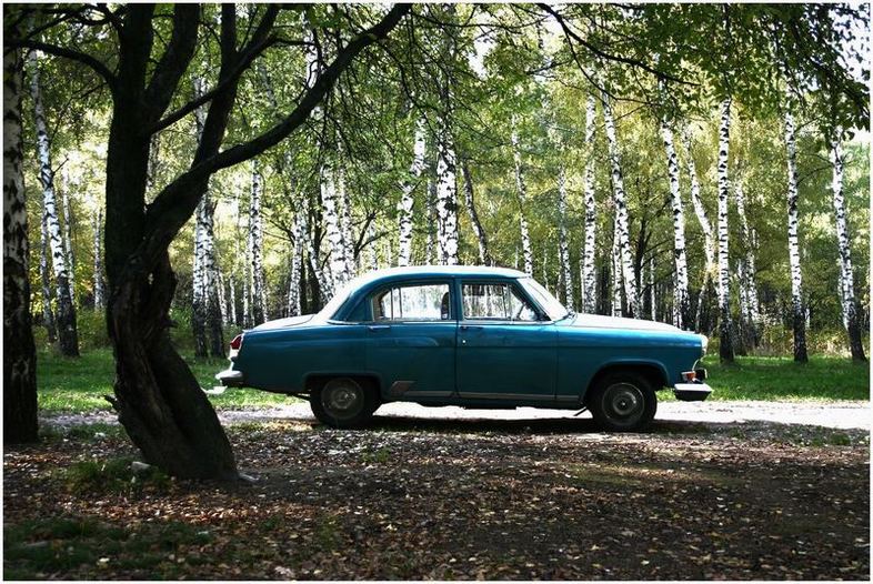 фото "vRoom vroom" метки: пейзаж, лес