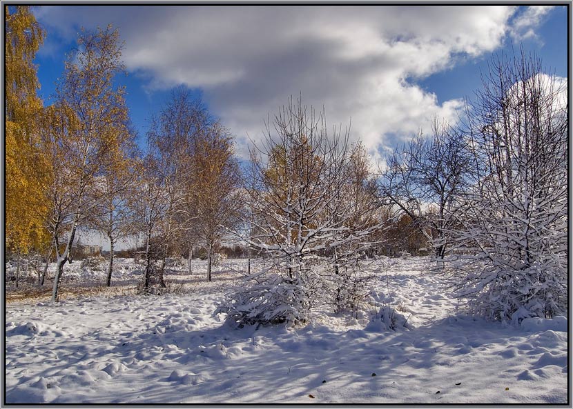 фото "Первый день снега_2" метки: пейзаж, зима, осень