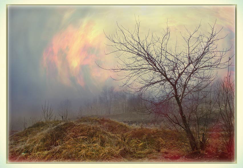 photo "Viscous, foggy day" tags: , 