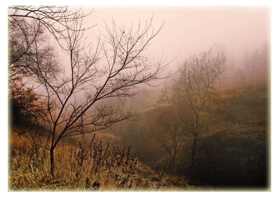 photo "***" tags: landscape, nature, autumn