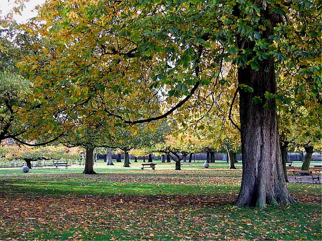 photo "Autumn in the garden." tags: reporting, 