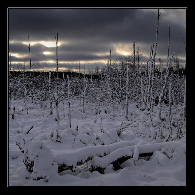 photo "Неужели подмосковье? Оно самое! 20км от мкад" tags: landscape, clouds, winter